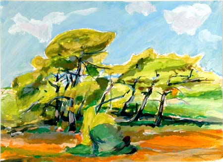 Landschaft Provence
